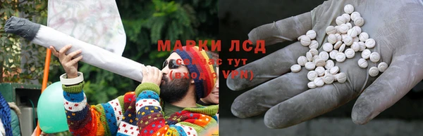 сатива Алексеевка