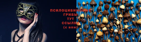 PSILOCYBIN Аркадак