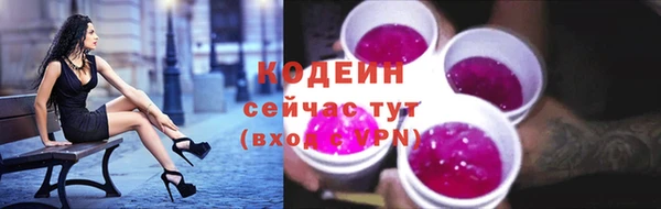 PSILOCYBIN Аркадак