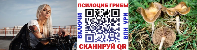 Галлюциногенные грибы MAGIC MUSHROOMS  shop наркотические препараты  Каспийск 